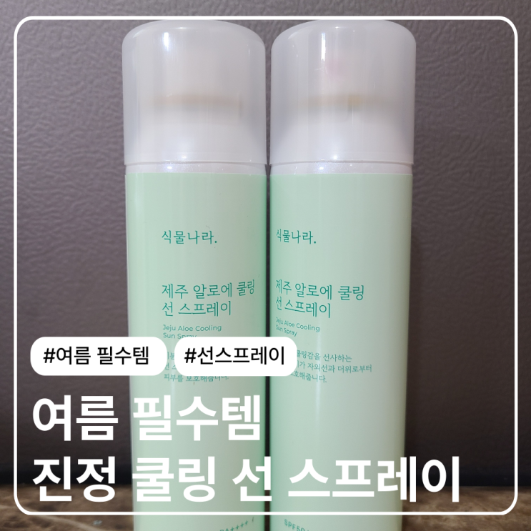  여름 필수템 올리브영 식물나라 쿨링 선스프레이 1+1 내돈내산 후기