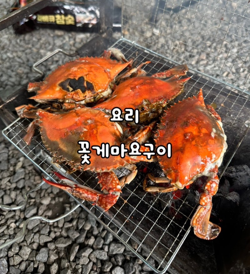 꽃게마요구이 캠핑요리추천 마요네즈꽃게구이