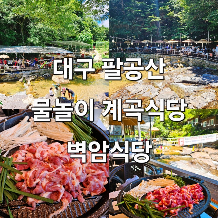  대구 팔공산 계곡 물놀이 가능한 오리소금구이 맛집 '벽암식당'