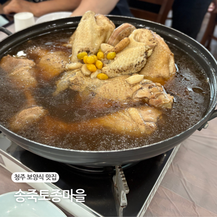  청주 여름 보양식 백숙 현도 맛집 송죽토종마을