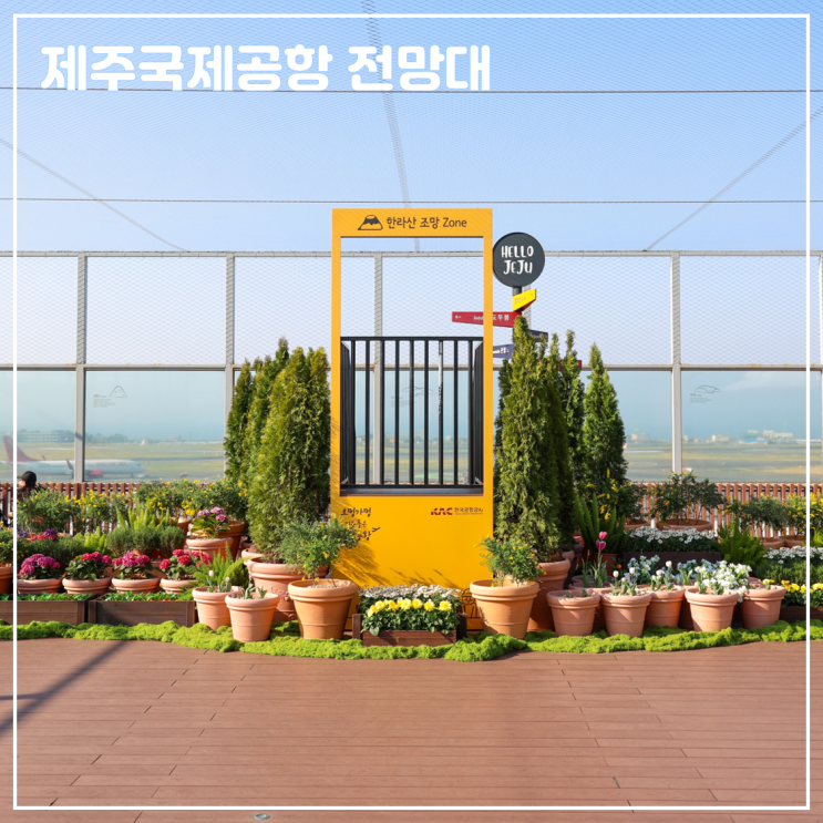 [제주국제공항 전망대] 제주공항 활주로와 비행기 구경 이색 명소