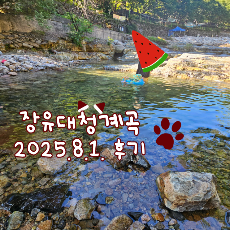  장유대청계곡, 부산근교계곡: 물놀이계곡 2탄(9시에오면 늦어요!)