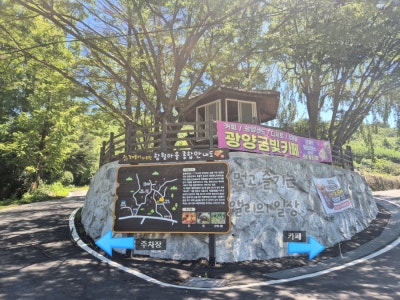 사진 6