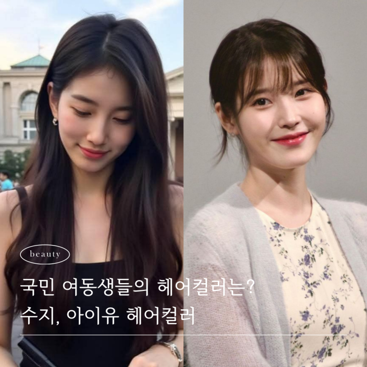  수지머리 아이유머리색으로 보는 웜톤쿨톤 염색 컬러 비교