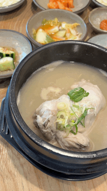 창원 신월동 '국화 삼계탕' 국화주 서비스까지 완벽한 삼계탕 맛집