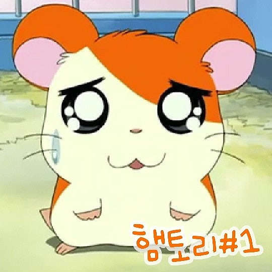  방가방가 햄토리 1화 추억의 햄스터 애니메이션 본 후기