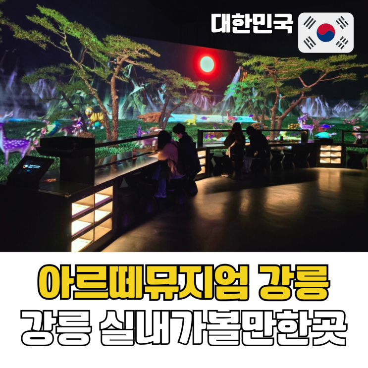 강릉 가볼만한 곳 실내놀거리 아르떼뮤지엄 강릉 티켓 입장권 할인