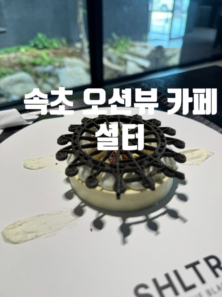  속초 오션뷰 카페 셜터에서 힐링하고 올데이 속초패스로 똑똑하게 여행하기