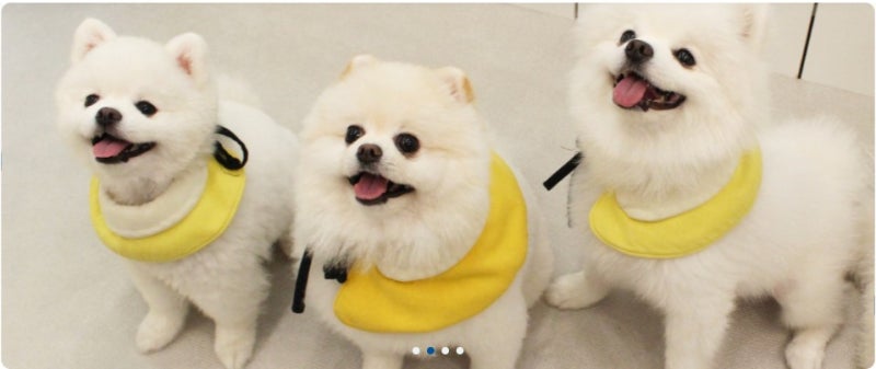 사진 4