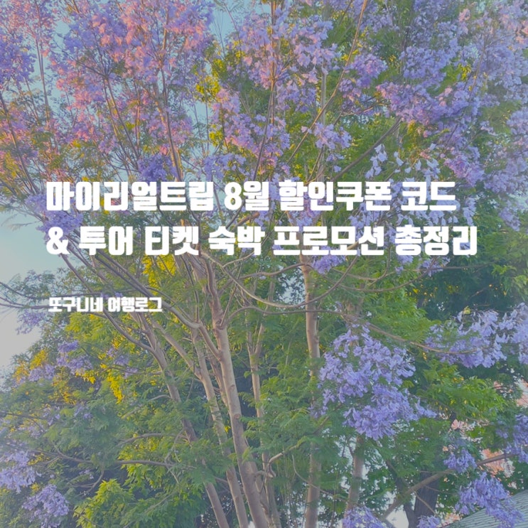  마이리얼트립 8월 할인쿠폰 코드 등록 사용 방법 공유 & 투어 티켓 숙박 프로모션 총정리