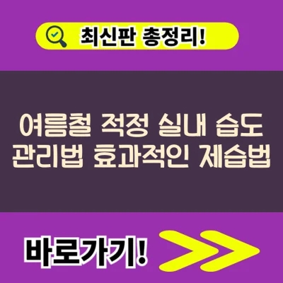  여름철 적정 실내 습도 관리법 효과적인 제습법(+불쾌지수 낮추기)