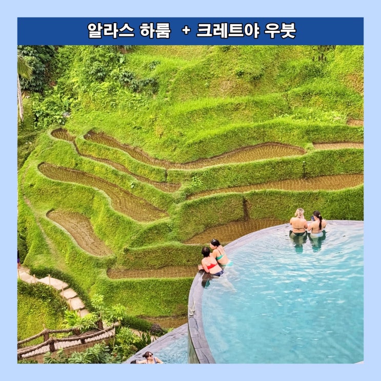  [발리] 우붓 최고의 핫 플레이스 '알라스 하룸(Alas Harum) + 크레트야 우붓(Cretya Ubud)'
