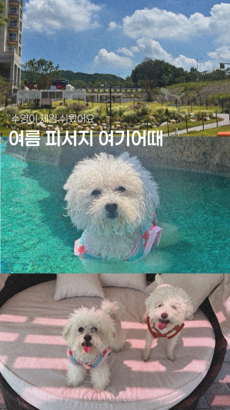 사진 3