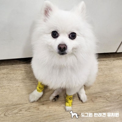 사진 5