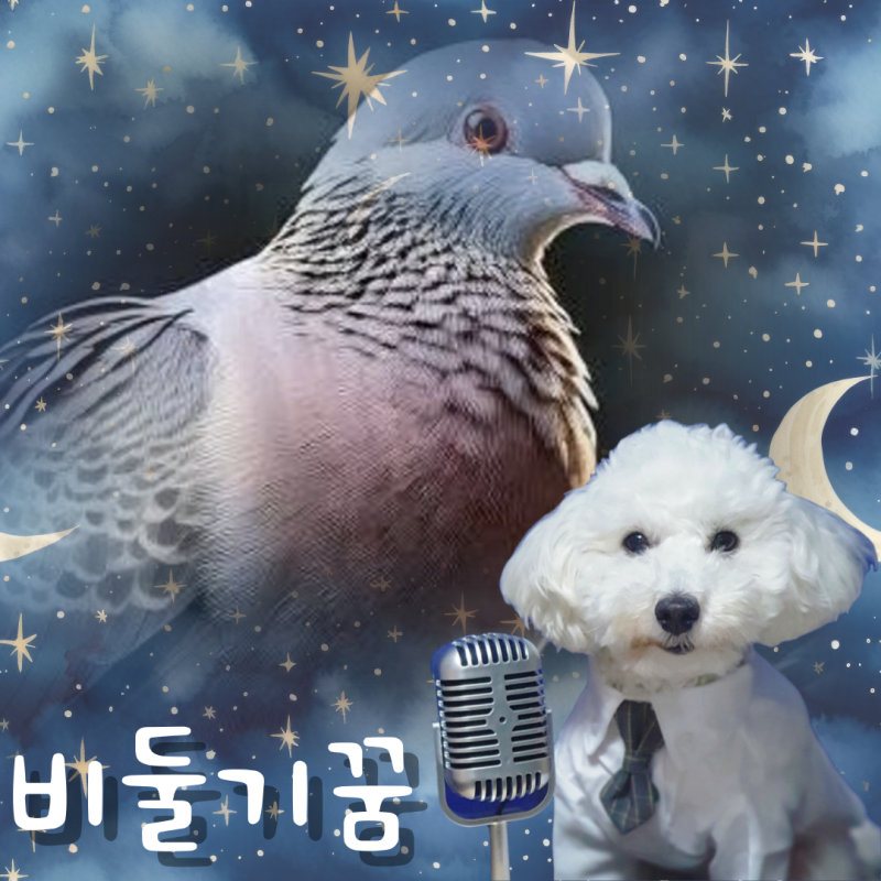 비둘기 꿈해몽 상징하는 것과 상황별 풀이