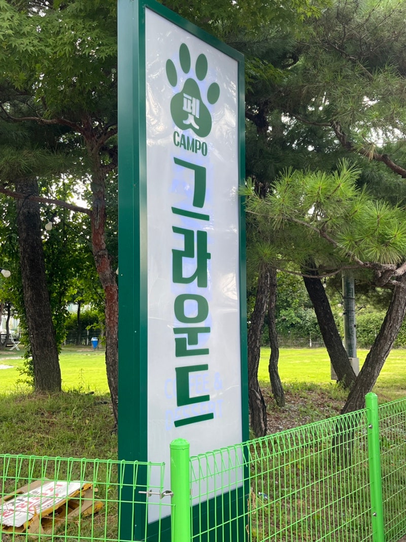 사진 4