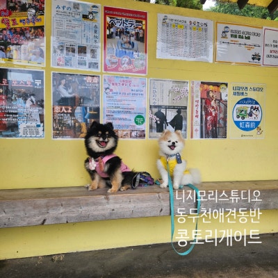 사진 3