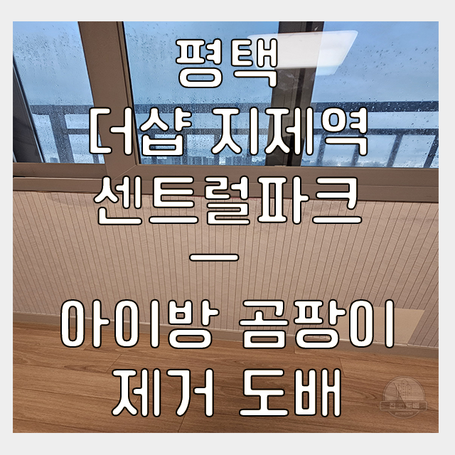  평택 아이방 도배, 단순얼룩 아니다? 곰팡이 호흡기 질환 유발 "경고"