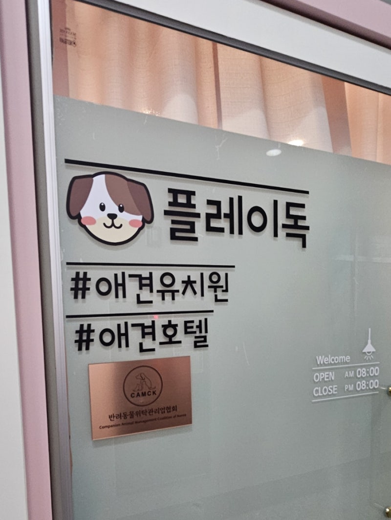 사진 2