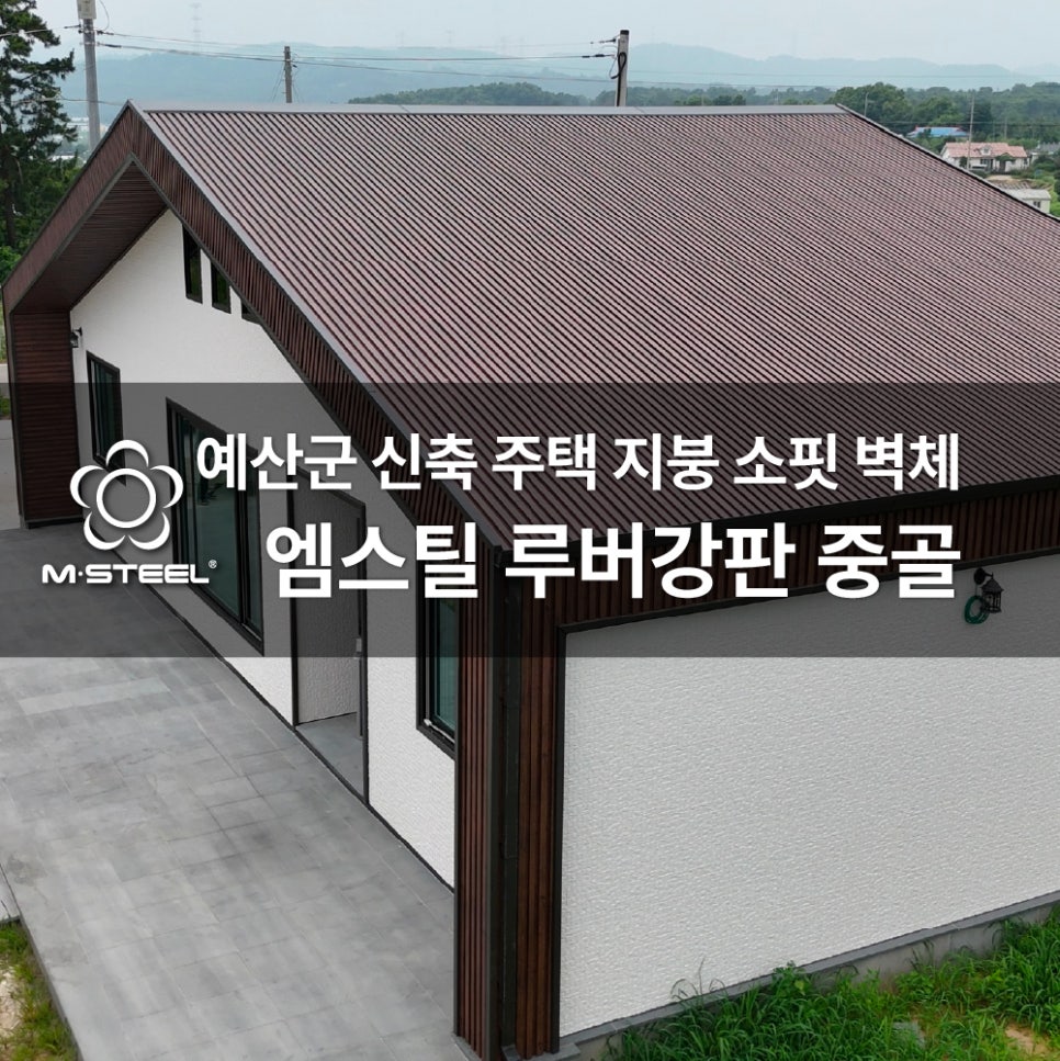 중골 사진 1