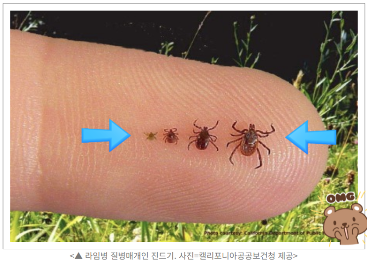 <b>저스틴 팀버레이크</b>도 피하지 못한 <b>라임병</b>? 우리가 몰랐던 진실