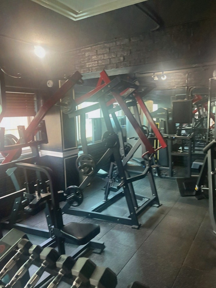  [트루짐PT] 피트니스 선수와 함께하는 트레이닝, 사가정역 PT 경험기