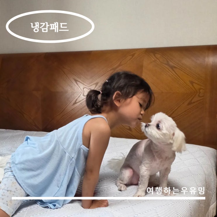  아이 키우는 집 여름 준비, 집앤콕 냉감침대패드로 숙면 해결