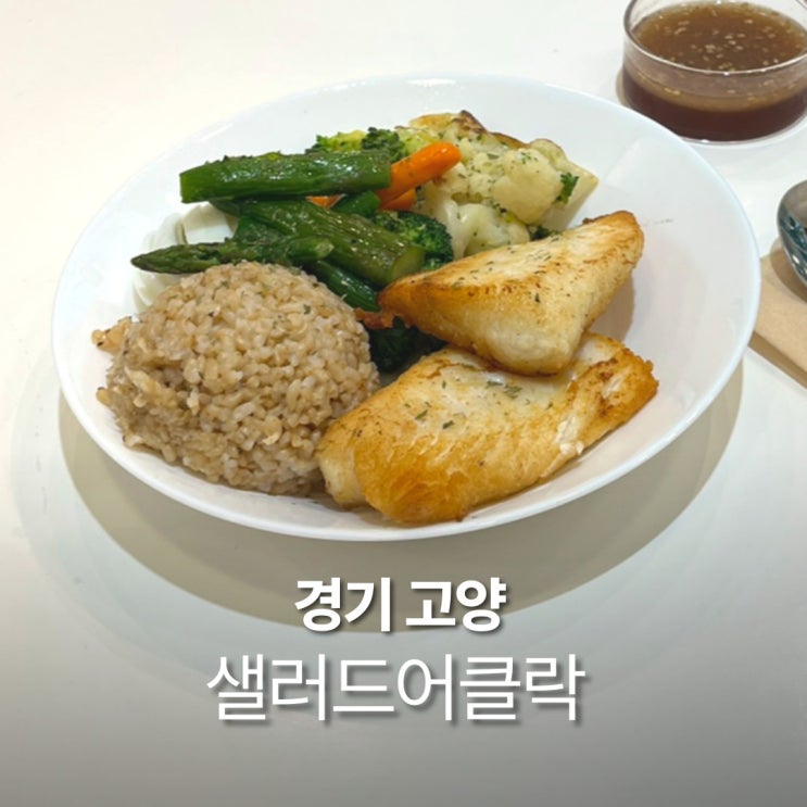  샐러드어클락 일산 브런치카페 틸라피아 도시락 샐러드 포케 맛집