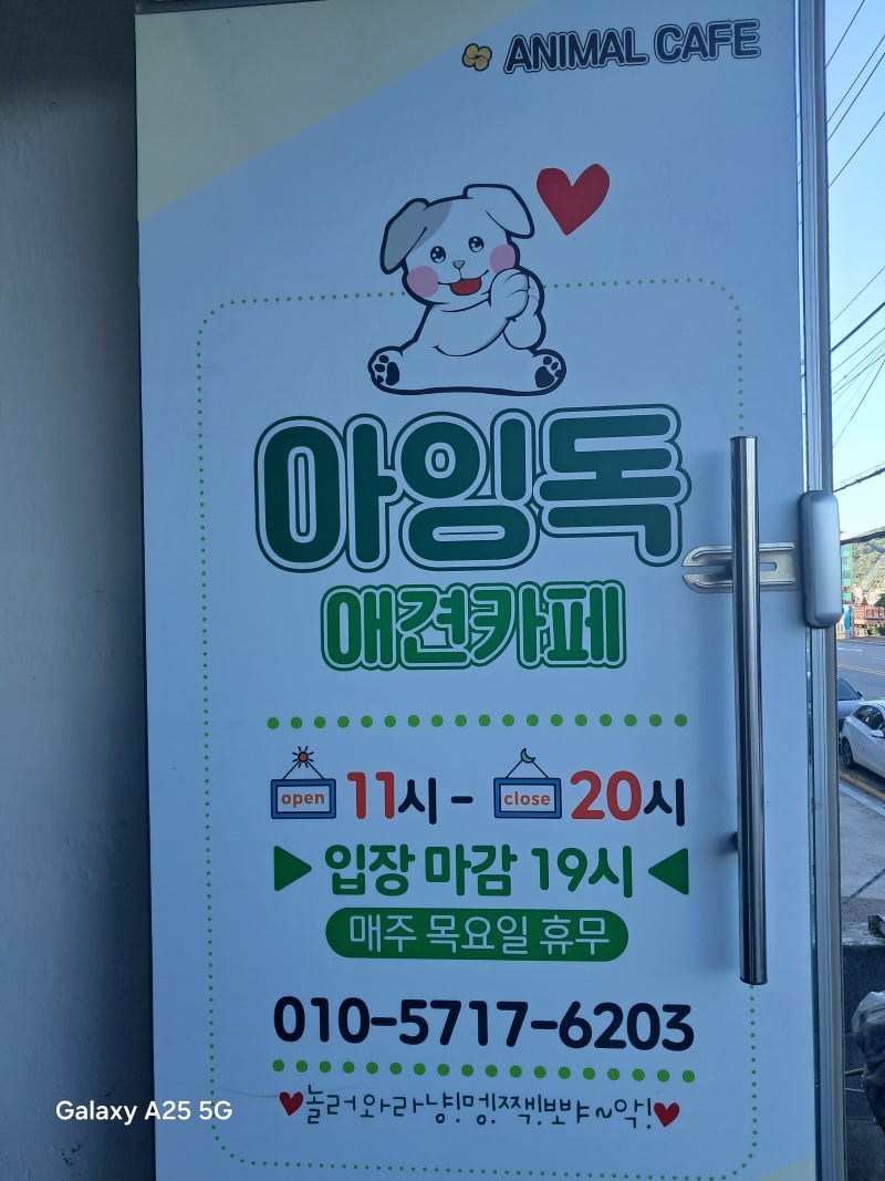 사진 4