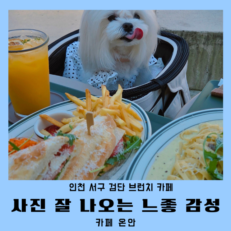  인천 검단맛집 브런치카페 아기랑 애견동반 카페 온안