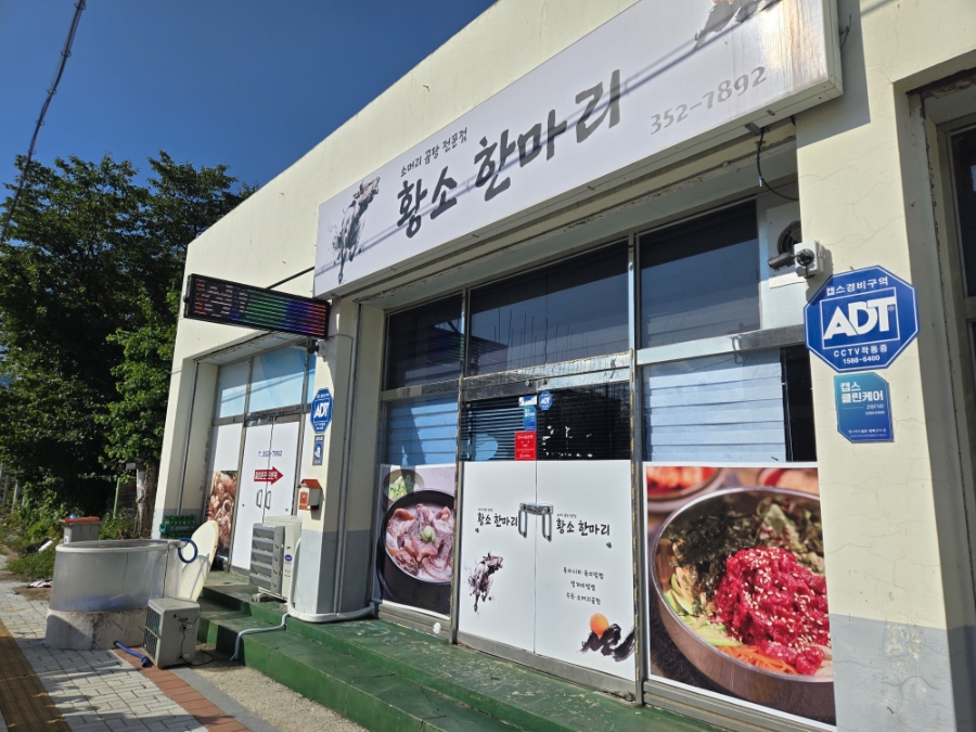 황소한마리 사진 1