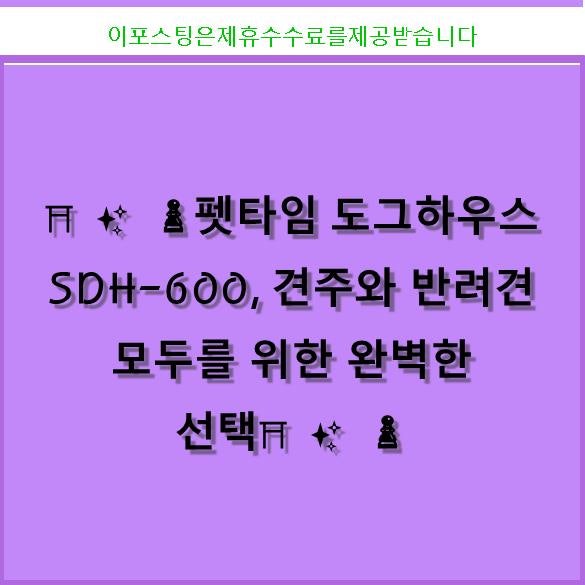 사진 4