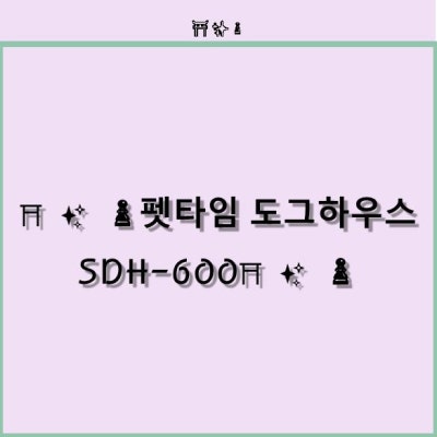 사진 5
