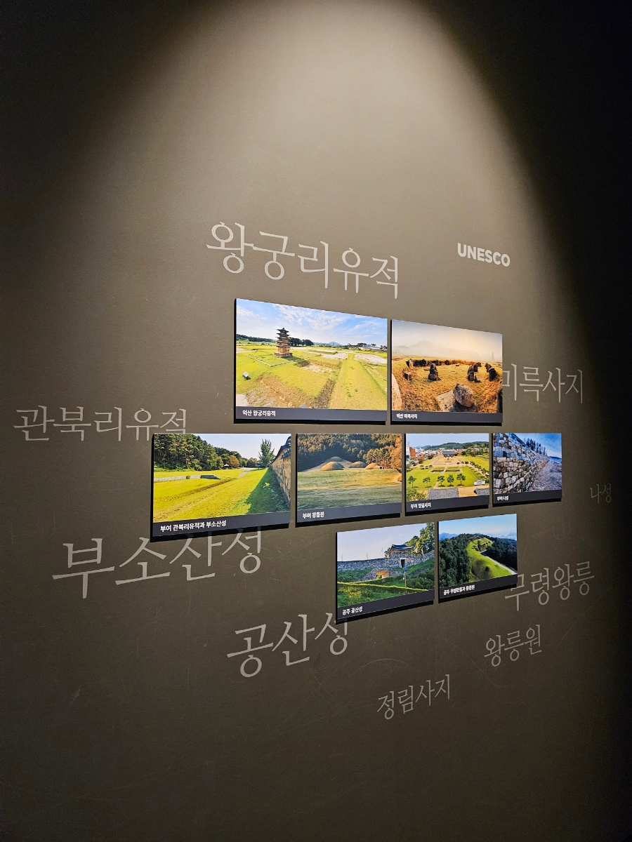 신일기사식당 사진 5