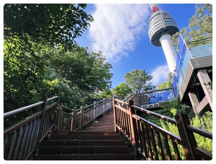  서울 남산 북측숲길 개방! 명동에서 남산 정상까지 단 20분 산책코스