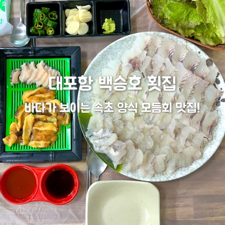  백승호 횟집, 바다가 보이는 대포항맛집 추천!