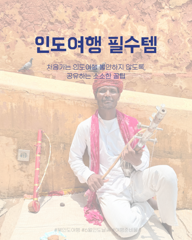  [인도 여행] 필수템 엑셀파일 공유, 백팩 vs 캐리어 고민 끝!