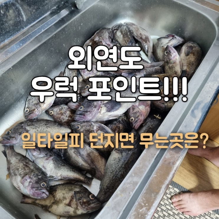  외연도 낚시여행 우럭포인트에서 일타일피