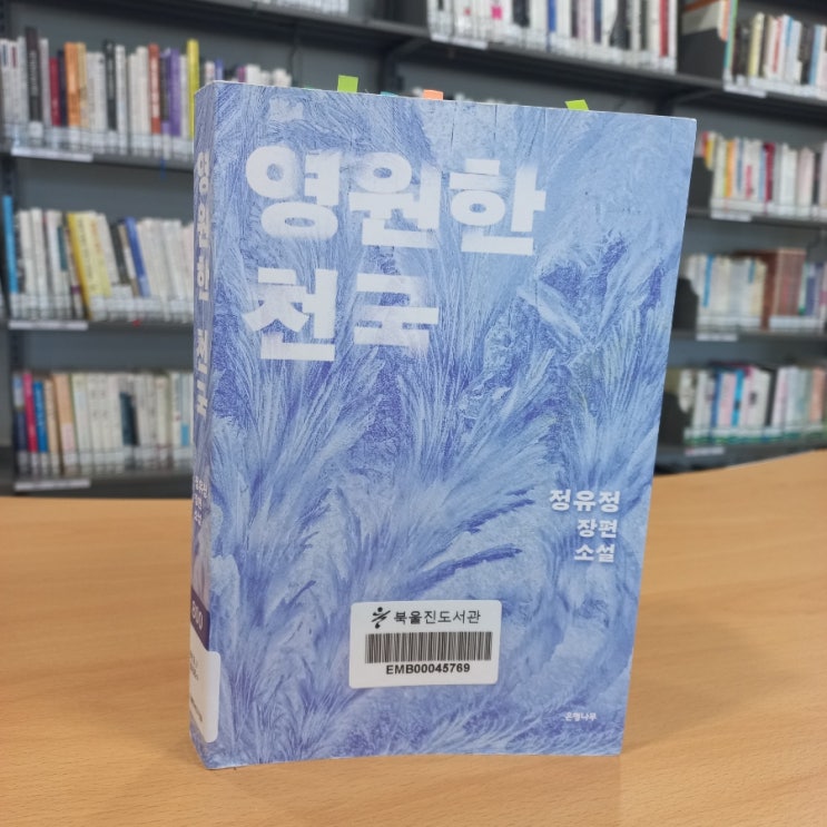  영원한 천국 정유정 장편소설