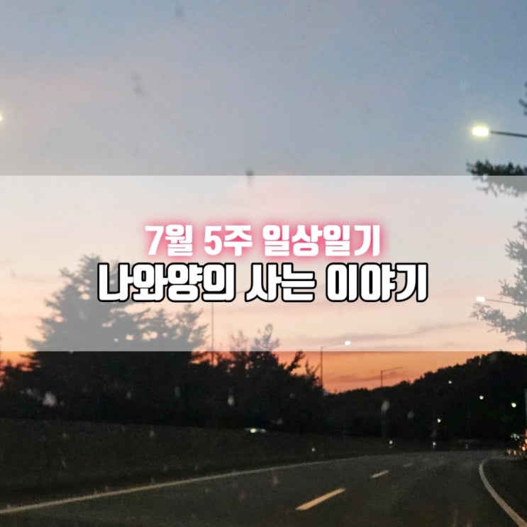  7월 5주 일상 일기 - 나와양의 사는 이야기