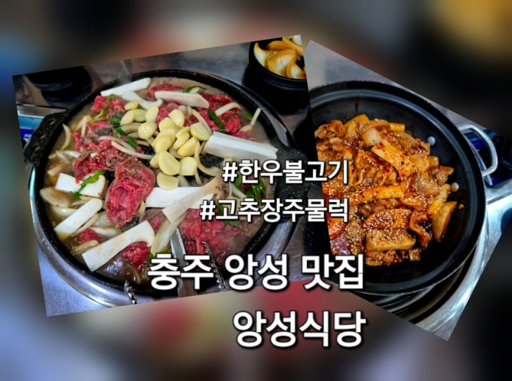  충주앙성맛집 앙성식당 방문 후기