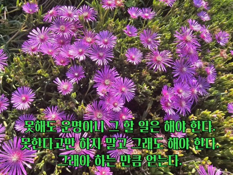  jms 정명석목사 잠언 ㅡ 하는 만큼 얻는다