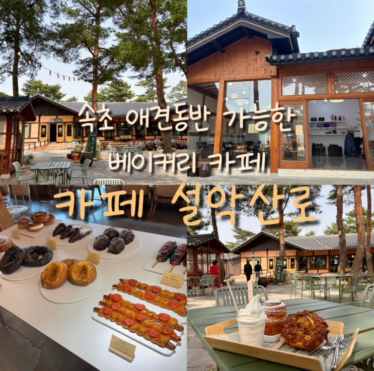  속초 한옥 베이커리 카페 설악산로 부모님 모시고가기 좋은 곳