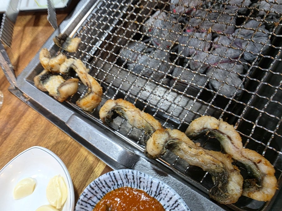 풍천민물장어 사진 5