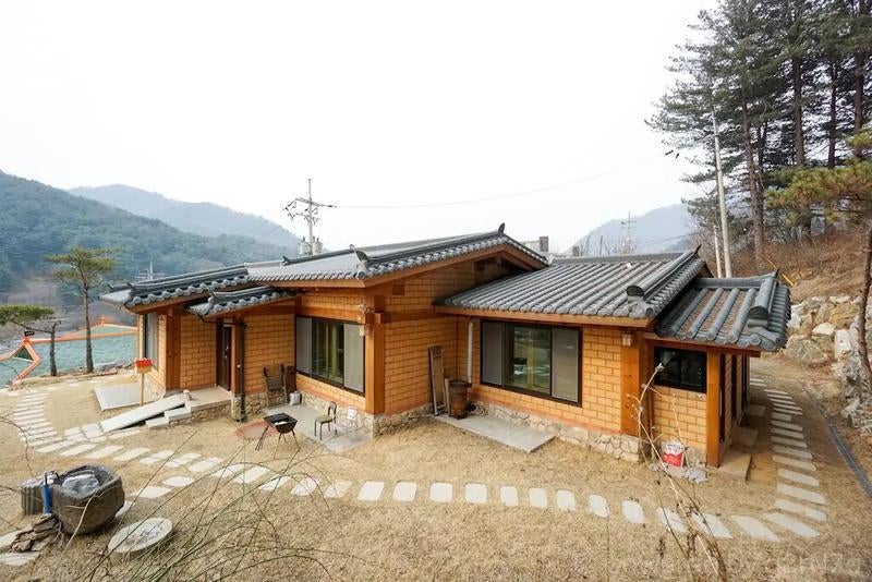은향채 사진 4
