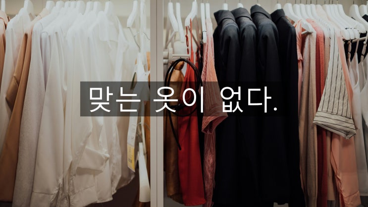  그깟 뱃살? 암세포는 '내장지방 염증'을 먹고 자랍니다.