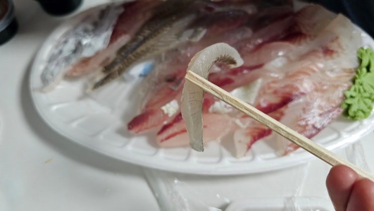 서귀포 올레시장 회 포장 바다수산 제철회 인생횟감의 식감..!