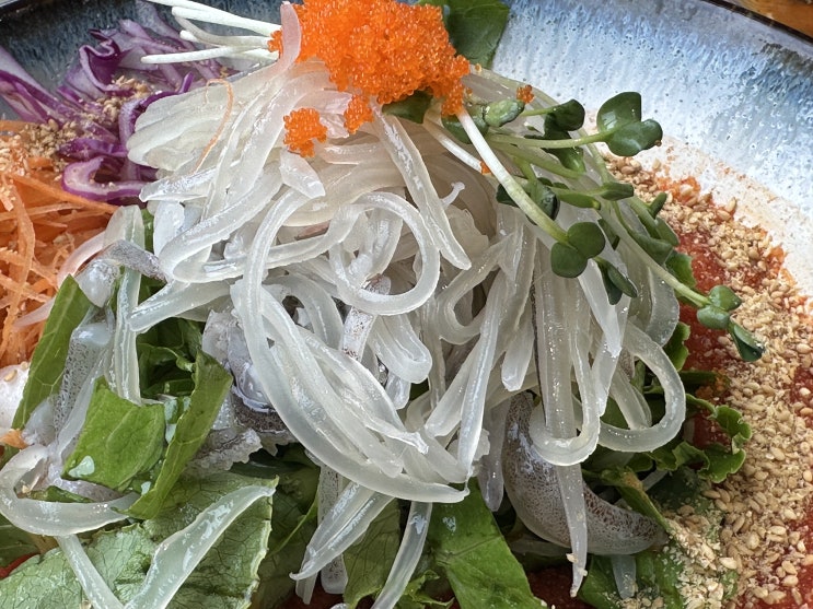  강릉 주문진 시원하고 신선한 오징물회맛집 백년횟집
