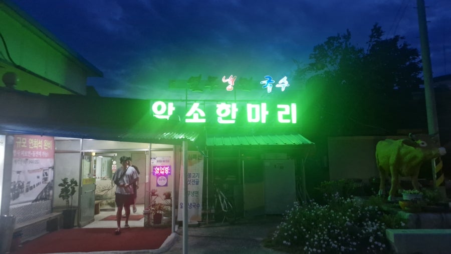 암소한마리 사진 1