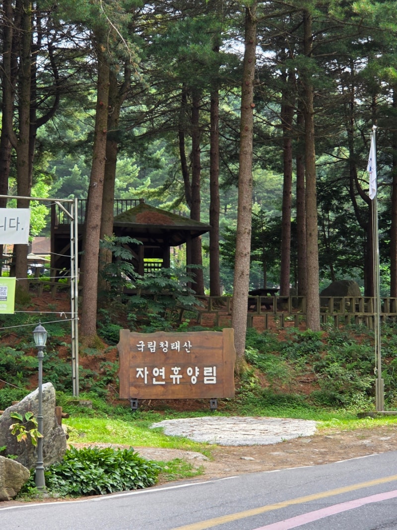 청태산자연휴양림 숲속의집 주목